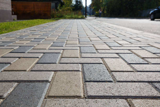 Best Residential Paver Driveway  in Seminole Manor, FL